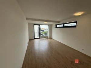 Prodej bytu 1+kk, Plzeň - Jižní Předměstí, Železná, 46 m2