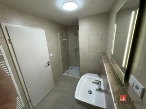 Prodej bytu 1+kk, Plzeň - Jižní Předměstí, Železná, 46 m2