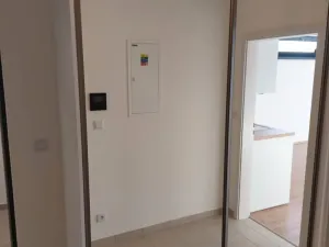Prodej bytu 1+kk, Plzeň - Jižní Předměstí, Železná, 46 m2