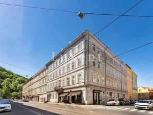 Pronájem bytu 4+kk, Praha - Malá Strana, Vítězná, 213 m2