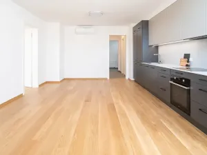 Pronájem bytu 2+kk, Praha - Žižkov, Jeronýmova, 68 m2