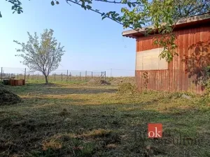 Prodej zahrady, Opava - Předměstí, 495 m2
