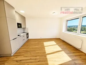 Pronájem bytu 1+kk, Brno, Chvalovka, 43 m2