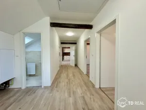 Pronájem bytu 3+kk, Brno, Gebauerova, 97 m2