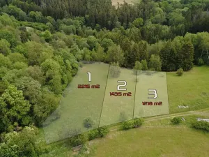 Prodej pozemku pro bydlení, Planá, 1218 m2