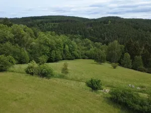 Prodej pozemku pro bydlení, Planá, 2215 m2