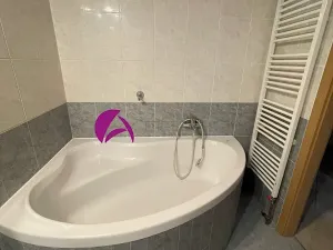 Pronájem bytu 1+1, Olomouc, Dolní hejčínská, 42 m2