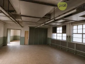 Pronájem skladu, Zlín, Šedesátá, 240 m2