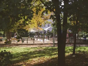 Pronájem bytu 1+kk, Brno, Jaselská, 27 m2