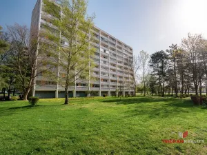 Pronájem bytu 1+kk, Hradec Králové - Slezské Předměstí, 35 m2