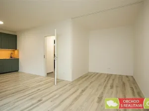 Pronájem bytu 1+kk, Praha, Štěchovická, 45 m2