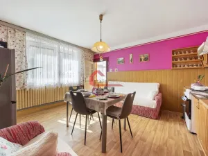 Prodej rodinného domu, Šakvice, Podzahrady, 288 m2