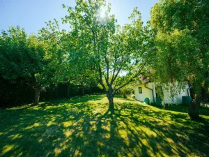 Prodej rodinného domu, Velký Chlumec - Malý Chlumec, 110 m2