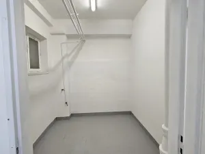 Pronájem obchodního prostoru, Příbram - Příbram VIII, Budovatelů, 220 m2