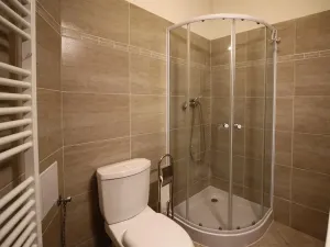 Pronájem bytu 1+kk, Brno, Koliště, 25 m2