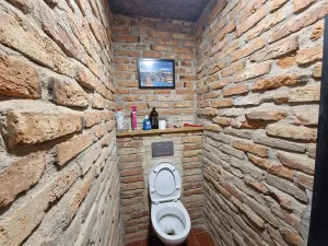 Prodej rodinného domu, Benátky nad Jizerou, Pod Remízkem, 250 m2