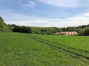 Prodej louky, Praha - Nebušice, U Gabrielky, 24023 m2