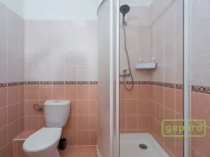 Pronájem bytu 1+kk, Příbram, Gen. R. Tesaříka, 39 m2