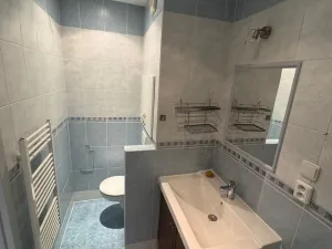 Pronájem bytu 2+1, Jirkov, Osvobození, 50 m2