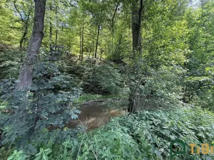 Prodej louky, Bílovice nad Svitavou, 3200 m2
