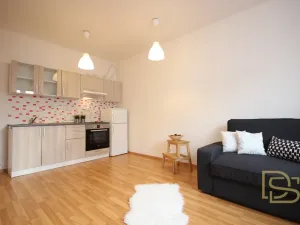 Pronájem bytu 1+kk, Brno - Žebětín, Říčanská, 27 m2