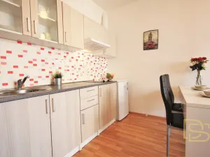 Pronájem bytu 1+kk, Brno - Žebětín, Říčanská, 27 m2