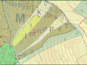 Prodej lesa, Kobylí, 2800 m2