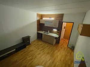 Pronájem bytu 1+kk, Chodov, Palackého, 20 m2