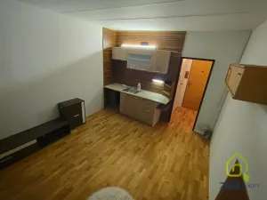 Pronájem bytu 1+kk, Chodov, Palackého, 20 m2