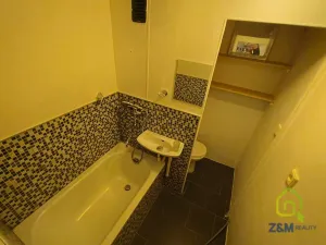 Pronájem bytu 1+kk, Chodov, Palackého, 20 m2