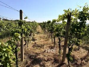 Prodej pozemku, Trboušany, 1135 m2