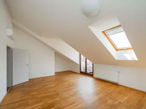 Pronájem bytu 5+1, Praha - Smíchov, Štefánikova, 168 m2