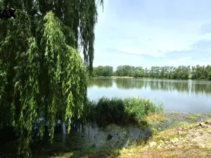 Prodej rodinného domu, Chýně, Hlavní, 86 m2