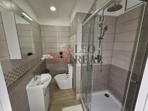 Pronájem bytu 1+kk, Nový Jičín - Loučka, Jičínská, 32 m2
