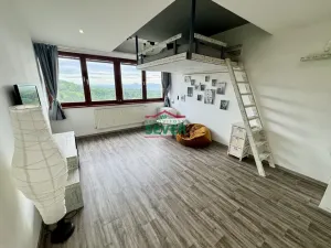 Prodej bytu 1+kk, Litvínov - Horní Litvínov, Koldům, 27 m2