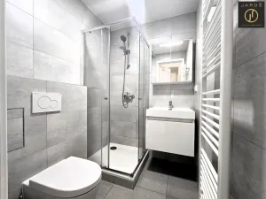 Pronájem bytu 1+kk, Praha - Smíchov, Svornosti, 18 m2