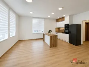 Pronájem bytu 4+kk, Opava - Předměstí, Na Nábřeží, 111 m2