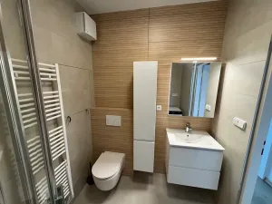 Pronájem bytu 2+kk, Brno, Kociánka, 50 m2