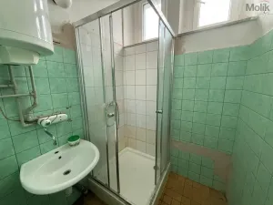 Pronájem výrobních prostor, Most - Velebudice, Pekárenská, 175 m2