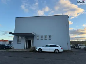 Pronájem výrobních prostor, Most - Velebudice, Pekárenská, 175 m2