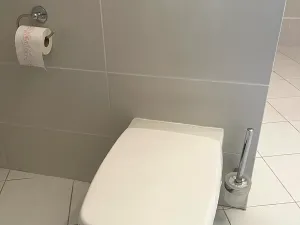 Pronájem bytu 3+1, Frýdek-Místek, Viléma Závady, 125 m2
