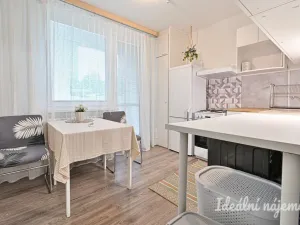 Pronájem bytu 1+1, Brno, Rerychova, 41 m2