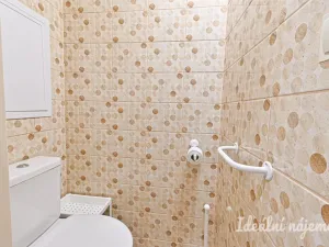 Pronájem bytu 1+1, Brno, Rerychova, 41 m2