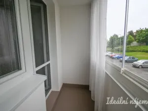Pronájem bytu 1+1, Brno, Rerychova, 41 m2