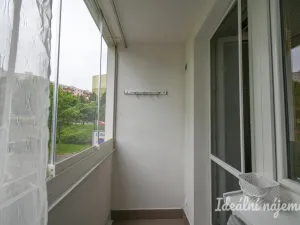 Pronájem bytu 1+1, Brno, Rerychova, 41 m2