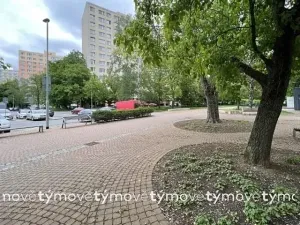 Pronájem bytu 1+kk, Pardubice, Družby, 35 m2