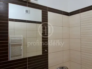 Pronájem bytu 3+kk, Brno - Veveří, Antonínská, 76 m2