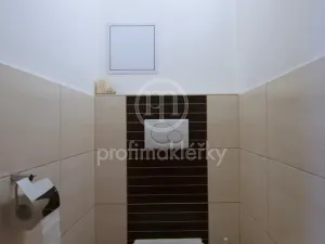 Pronájem bytu 3+kk, Brno - Veveří, Antonínská, 76 m2