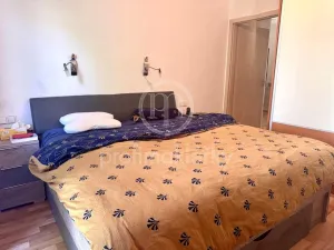 Pronájem bytu 3+kk, Brno - Veveří, Antonínská, 76 m2
