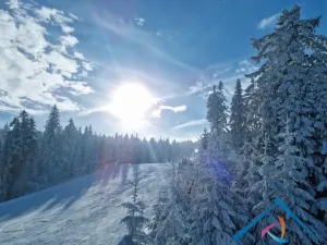 Prodej bytu 1+kk, Loučná pod Klínovcem - Loučná, 37 m2